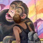Yuli-JGA and monkey