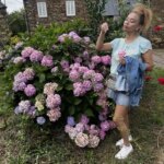 Yuli rodeada de hortensias.